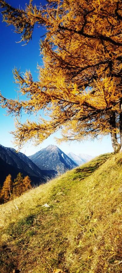 Chez Pierre Lägenhet Praz-de-Fort Exteriör bild