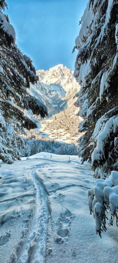 Chez Pierre Lägenhet Praz-de-Fort Exteriör bild