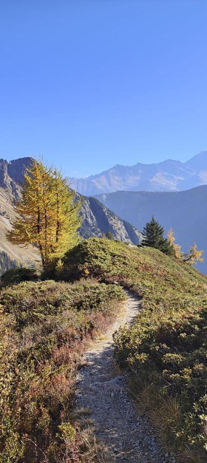 Chez Pierre Lägenhet Praz-de-Fort Exteriör bild
