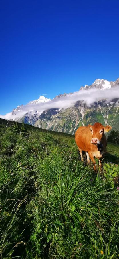 Chez Pierre Lägenhet Praz-de-Fort Exteriör bild