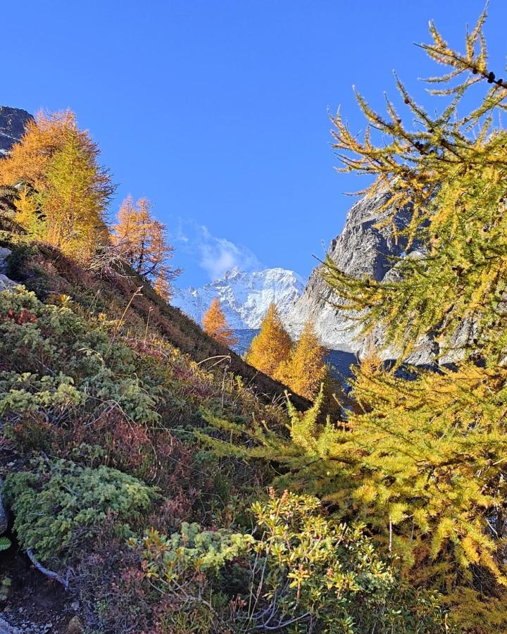 Chez Pierre Lägenhet Praz-de-Fort Exteriör bild